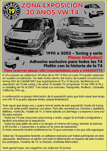 Info Web 30 años VW T4