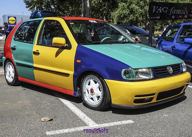 polo colores